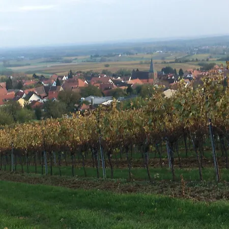 Perfekter Urlaub - A44234 Apartment Schweigen-Rechtenbach