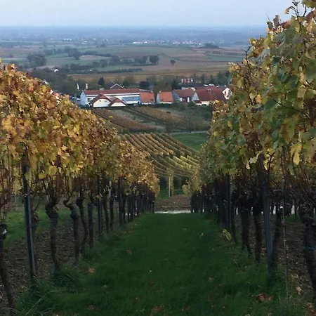 Perfekter Urlaub - A44234 Schweigen-Rechtenbach